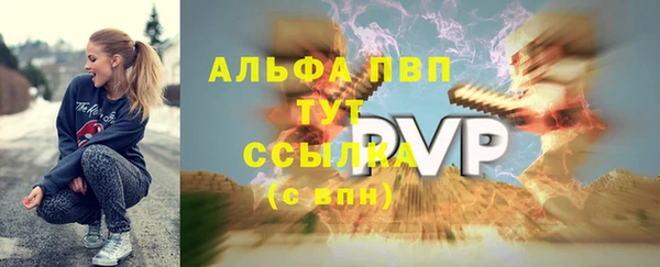 индика Абдулино