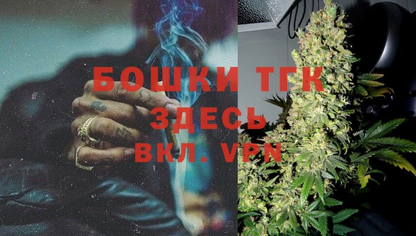 индика Абдулино